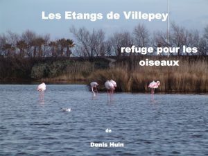 villepey-un-refuge-pour-les-oiseaux-debut-001